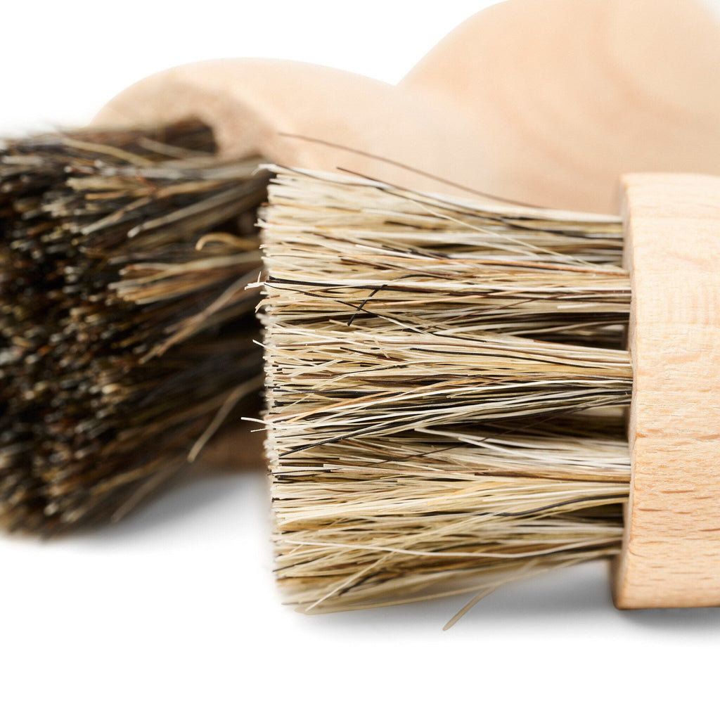 Application Brush (2 pcs)  Multi